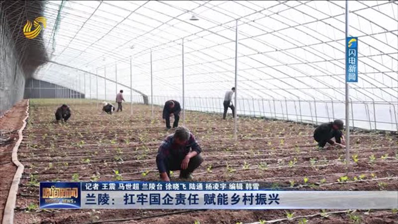 味蕾探索之旅:兰陵县杜侠肉食店如何以风味俘获美食爱好者的心