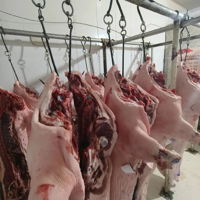 猪肉市场新趋势：兰陵猪肉批发引领风潮